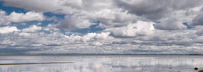 Ein weiter Wolkenhimmel spannt sich über eine Vogelkolonie in der Wismarer Bucht - Panorama aus 4 Einzelbildern