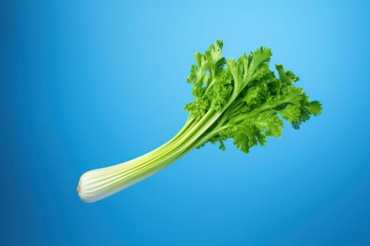 Celery suspended in midair against a bright blue backdrop.
