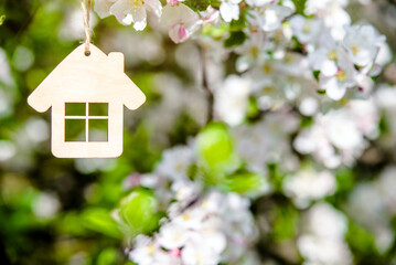 Symbol of the house on the branches of a flowering apple