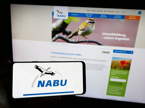 Stuttgart, Germany - 10-10-2023: Person holding smartphone with logo of association Naturschutzbund Deutschland e.V. (NABU) in front of website. Focus on phone display.