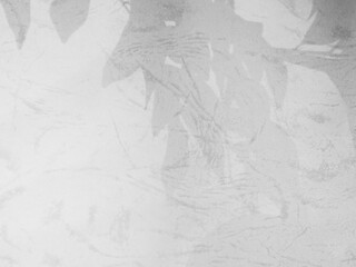 Shadow Leaf Tree Tropic Summer Leaves Background Plant Overlay White Light Flower Nature Branch Foliage on Floor Abstract Wall Template Mockup Tropic Sun Effect Sunlight Minimal Mockup Scene Backdrop.