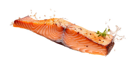 salmon fish isolated cut-out.seafood steak bar-b-q food.isolated salmon