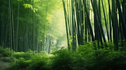 Zelfklevend Fotobehang A tranquil bamboo forest with tall green stalks © Cloudyew