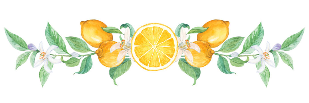 Horizontal composition of lemons. Watercolor ornament in retro style. Decorative design suitable for labels with Italian limoncello, weddings in Provence style and greeting cards.