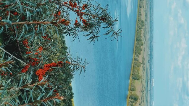 Picturesque view of the Kama River from the observation deck at the Yelabuga settlement. The movement of clouds over the river. Lower Kama National Park. Yelabuga, Republic of Tatarstan, Russia, 4K