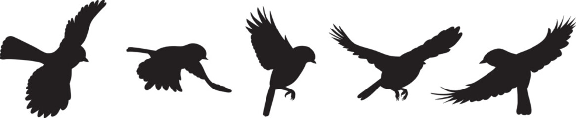 silhouette of flying birds on a white background isolated vector