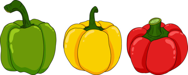 Hand drawn colored illustration of different types of pepper. Bell sweet peppers, paprika. Vegetables painted on white background. Vector sketch food.