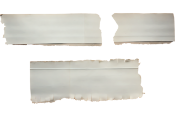 pieces of torn paper isolated on transparent background