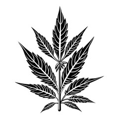 Fototapeta na wymiar Hemp leaf icon. Black cannabis leaf icon isolated. Medical hemp leaves.