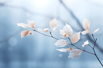A misty silver woodland captured from the front at a low angle, creating a subtle and dreamy backdrop with delicate silver leaves. The mist adds a touch of ethereal beauty to the minimalist image.