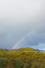 Regenbogen