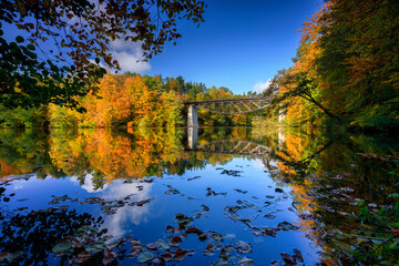 Autumnal landscape of the forest in Kashubia. Poland - obrazy, fototapety, plakaty