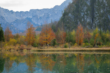 Colorful Trees at a Mountain Lake in Autumn in Austria
