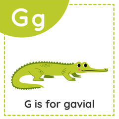 Obraz premium Learning English alphabet for kids. Letter G. Cute cartoon gavial.