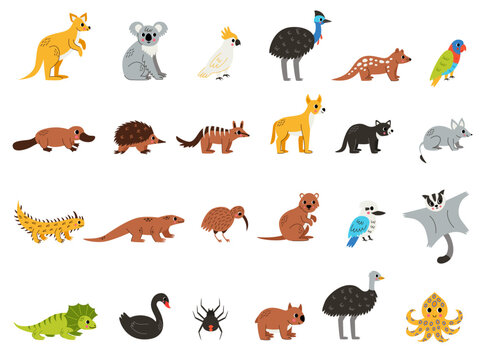 Set of cute Australian animals in cartoon style on white background.
