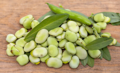Broad bean or fava beans (Fave) on the close-up. From garden to table: springtime vegetables and legumes