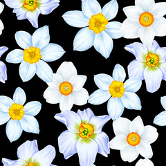 seamless pattern with drawing flowers of white and yellow narcissus at black background , hand drawn botanical illustration