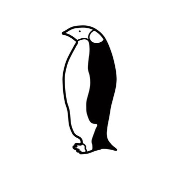 penguin Bird Hand drawn organic line doodle 