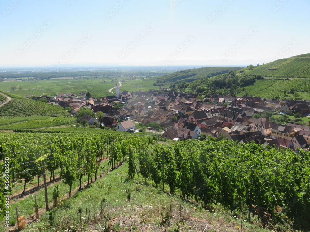 Sticker château de wineck, vignoble de katzenthal, haut-rhin, alsace, france, route des vins d'alsace