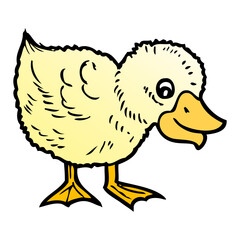 duckling vector illustration