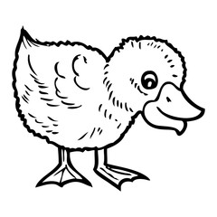 duckling line vector illustration