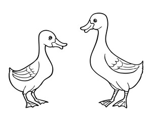 ducks line vector illustration