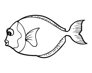 fish line vector illustration