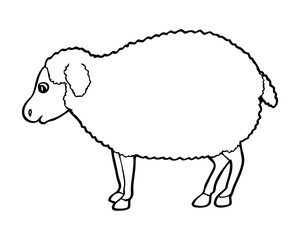 sheep line vector illustration