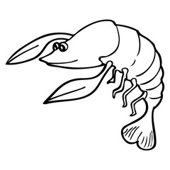 shrimp line vector illustration
