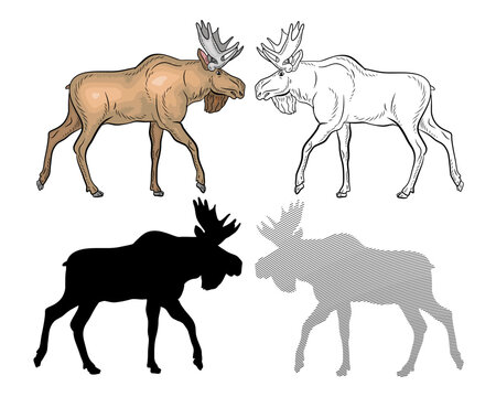 An animal, an elk. Coloring book for children,
 black and white and color image of a wild moose. Vector drawing.