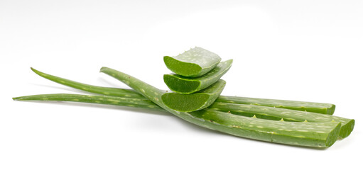 Aloe vera isolated on white background