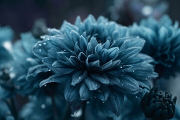 Deeply cold and frozen blue flower blossoms at closeup as floral background generative ai