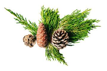 Christmas decoration, pine cone and branches, isolated on white or transparent background.