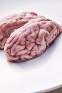 raw brain on plate