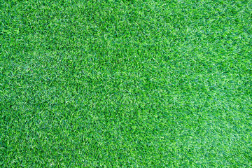 green grass background