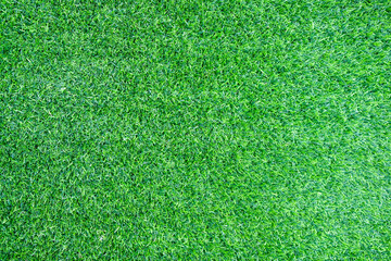 green grass background
