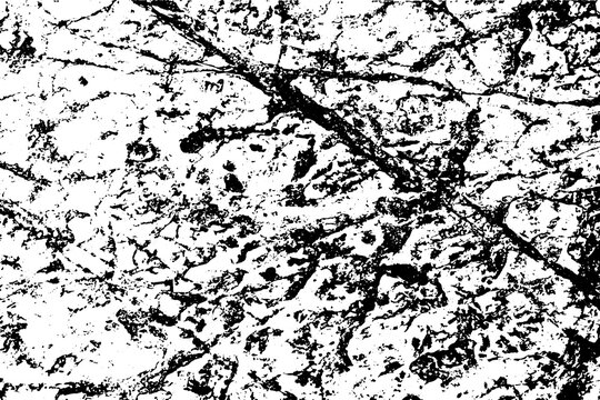 Vector the cracks rock texture white and black. Grunge abstract background.