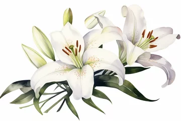 Foto op Plexiglas Watercolor painting of white lilies on a blank background. Generative AI © Euphemia