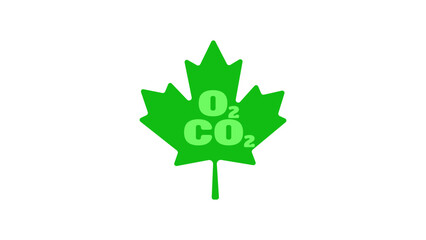 Photosynthesis,  green isolated leaf with text o2, co2