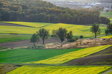 Obraz premium Agrarlandschaft im Herbst