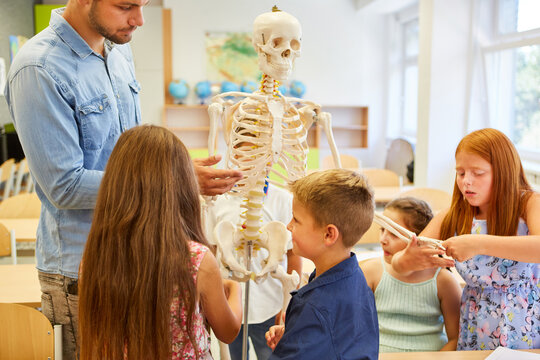 Teacher and students around human skeleton in class