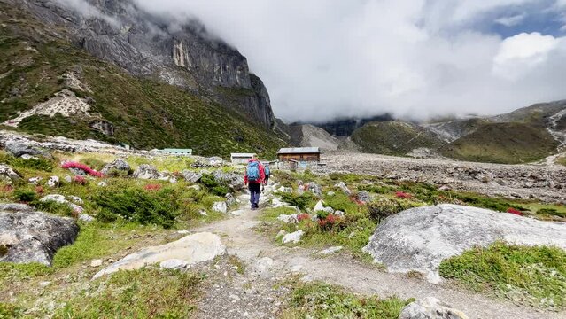 Lonely woman backpacker trekker with trekking poles goes by the mountain valley path on the Mera peak climbing route. Tagnag settlement at cca 4150m. Sunny day active people mountain 4K video.
