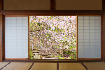View cherry blossom from the door of an ancient Japanese house and tatami mat