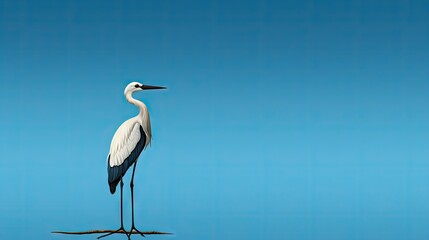 Naklejka premium a white bird with a long neck standing on a rock. generative ai