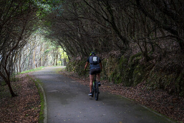 Fototapeta premium cyclist rolling down a road under the forest, Buciero mountain, Santoña, Cantabria, Spain
