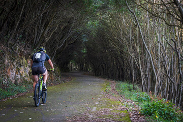 cyclist rolling down a road under the forest, Buciero mountain, Santoña, Cantabria, Spain
