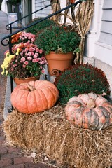 pumpkin and pumpkins