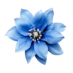 isolated illustration of blue exotic flower. Created with Generative AI