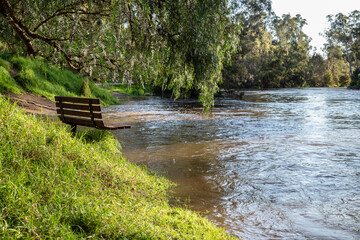 Empty park bench overlooking the flooded Yarra River at Warrandyte River Reserve. Peaceful...