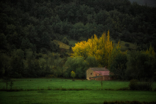 Estampas de oto&ntilde;o en la monta&ntilde;a de Le&oacute;n